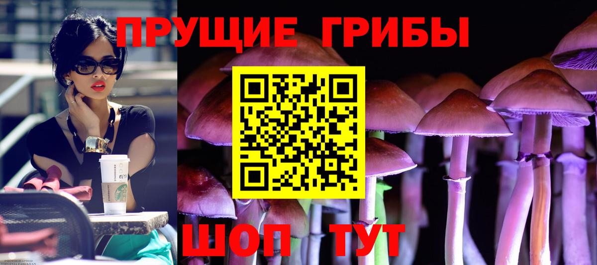 Псилоцибиновые грибы мицелий  Вход с VPN  Ивантеевка 
